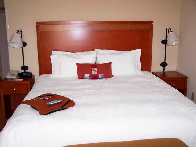 Hampton Inn Enterprise Δωμάτιο φωτογραφία